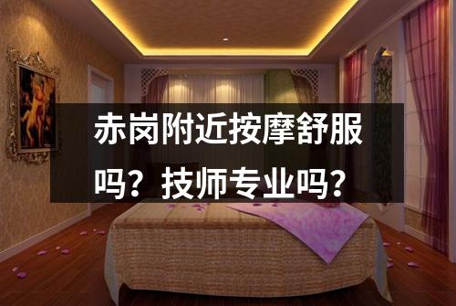 赤岗附近按摩舒服吗？技师专业吗？