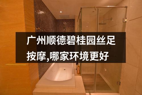 广州顺德碧桂园丝足按摩,哪家环境更好