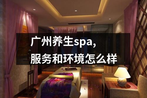 广州养生spa,服务和环境怎么样