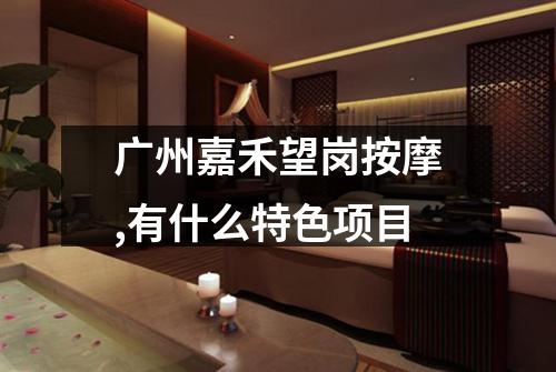 广州嘉禾望岗按摩,有什么特色项目