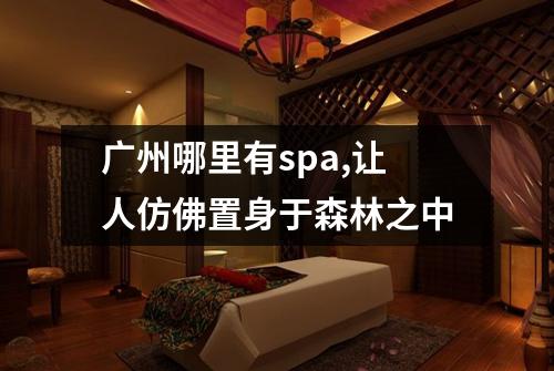 广州哪里有spa,让人仿佛置身于森林之中