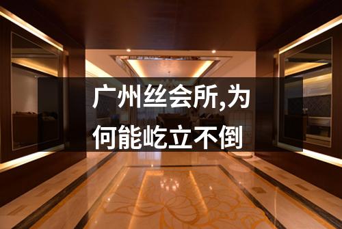 广州丝会所,为何能屹立不倒